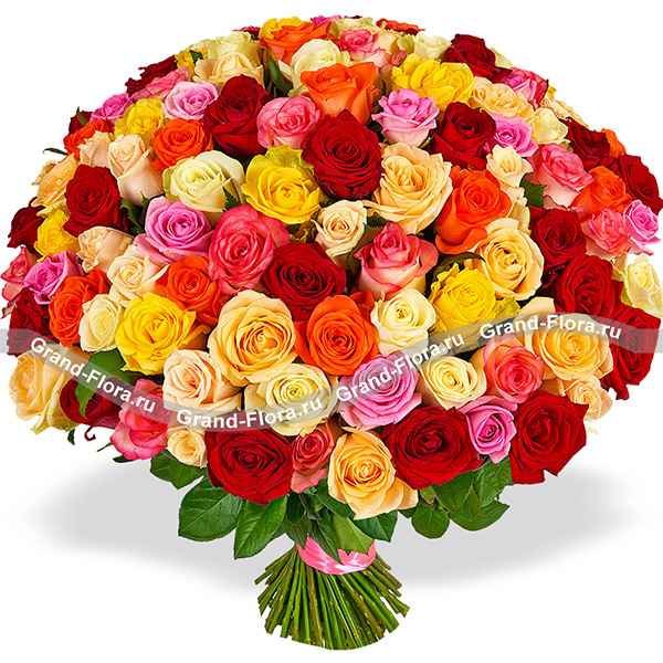 101 разноцветная роза (80 см)